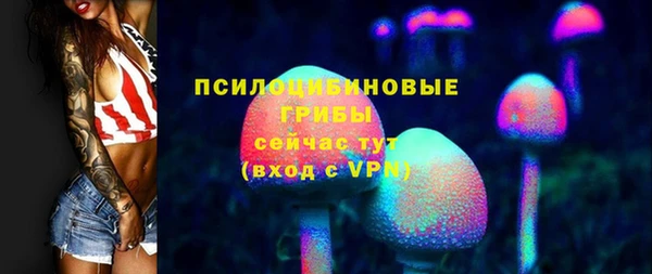 герыч Арсеньев