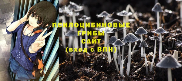 герыч Арсеньев