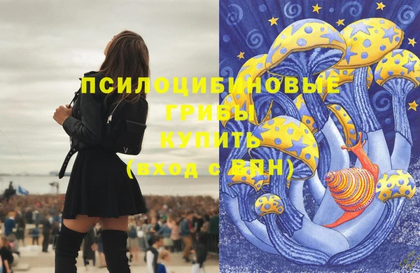 спайс Армянск