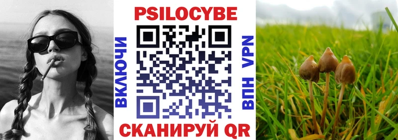 Галлюциногенные грибы MAGIC MUSHROOMS  цена   Приволжск 